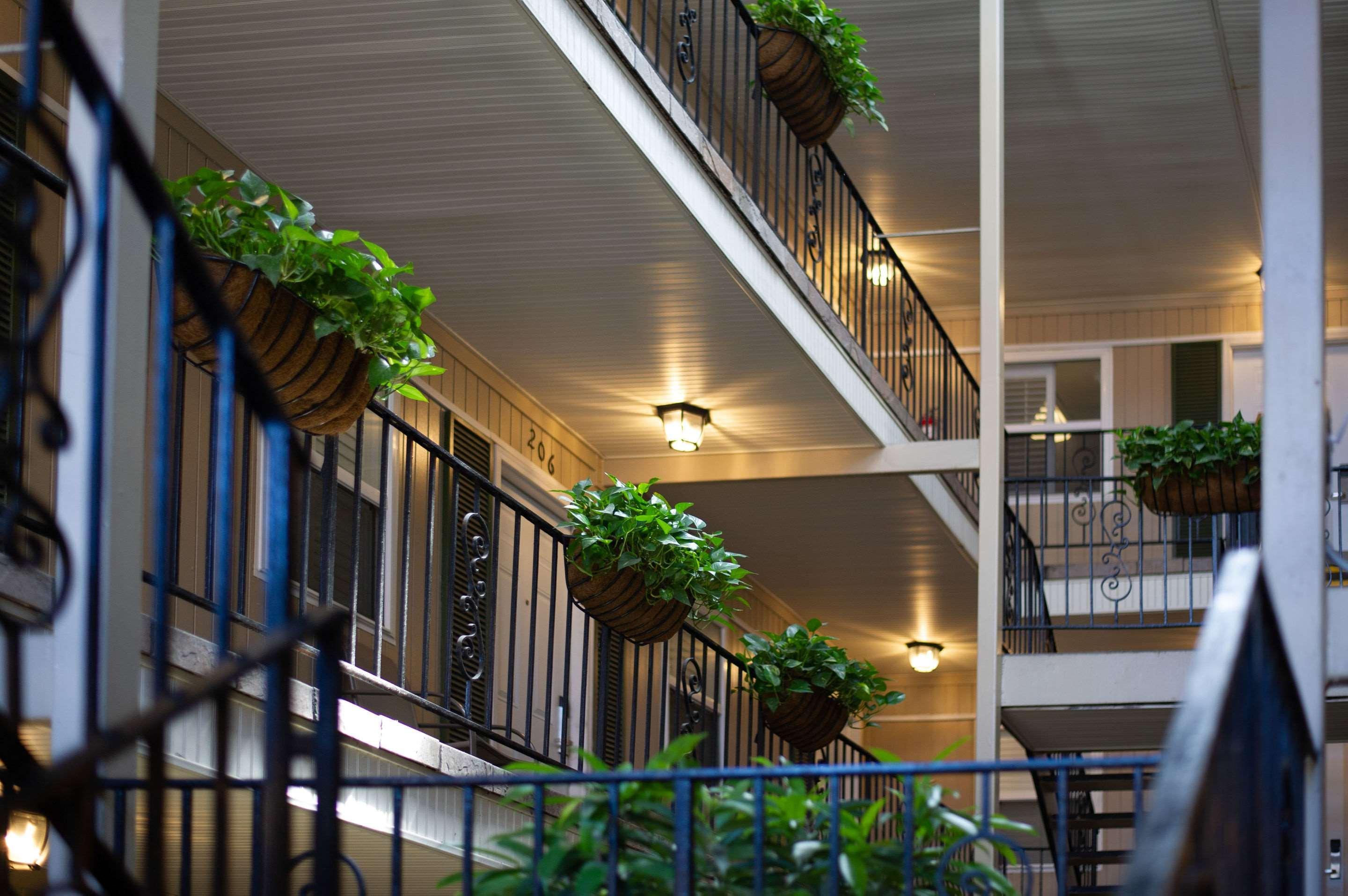 Frenchmen Orleans At 519, Ascend Hotel Collection New Orleans Exteriér fotografie